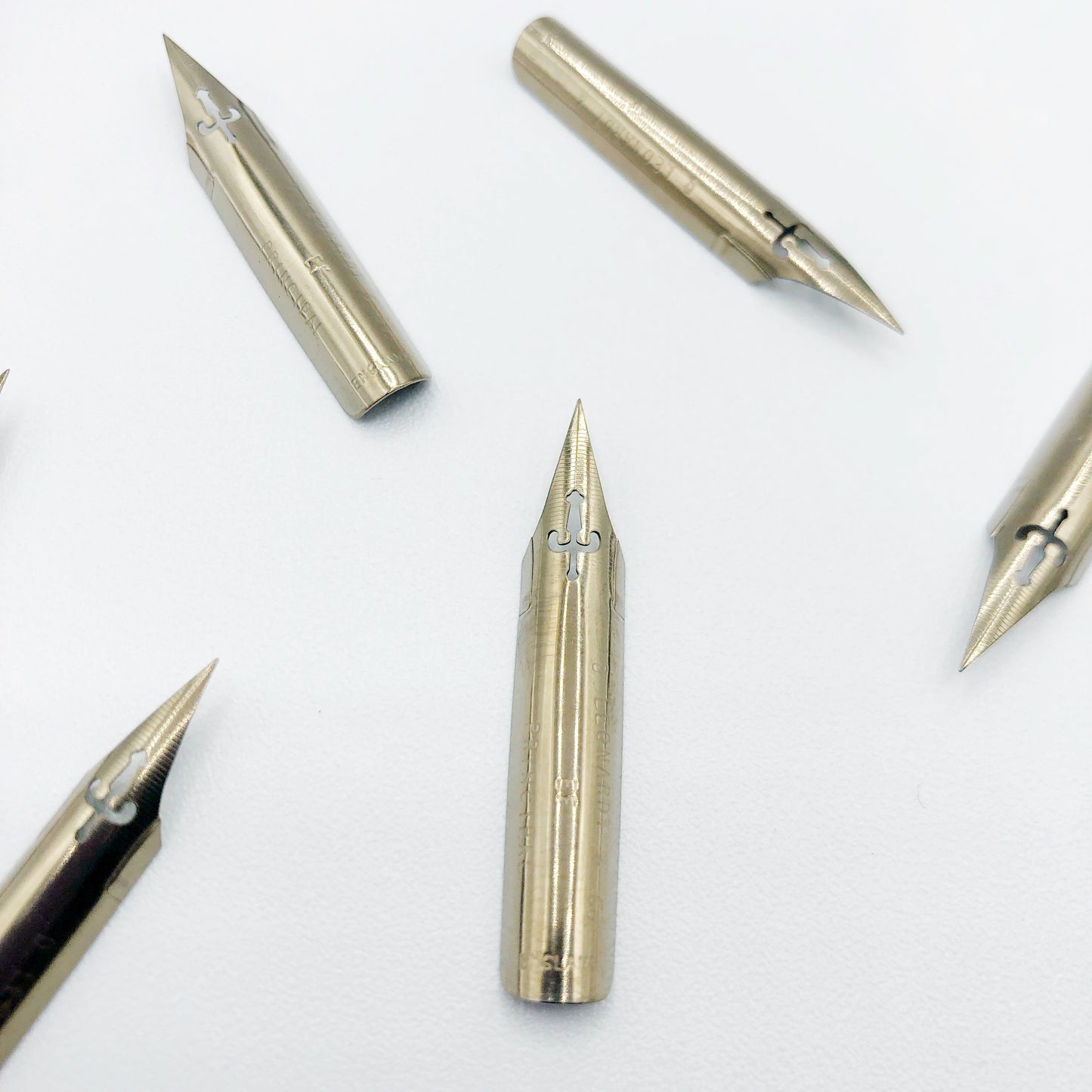Leonardt Principal Extra Fine Calligraphy Nib