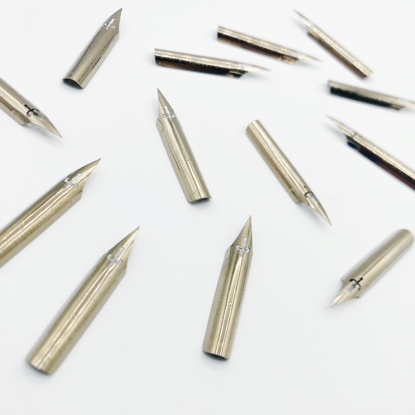 Leonardt Principal Extra Fine Calligraphy Nib