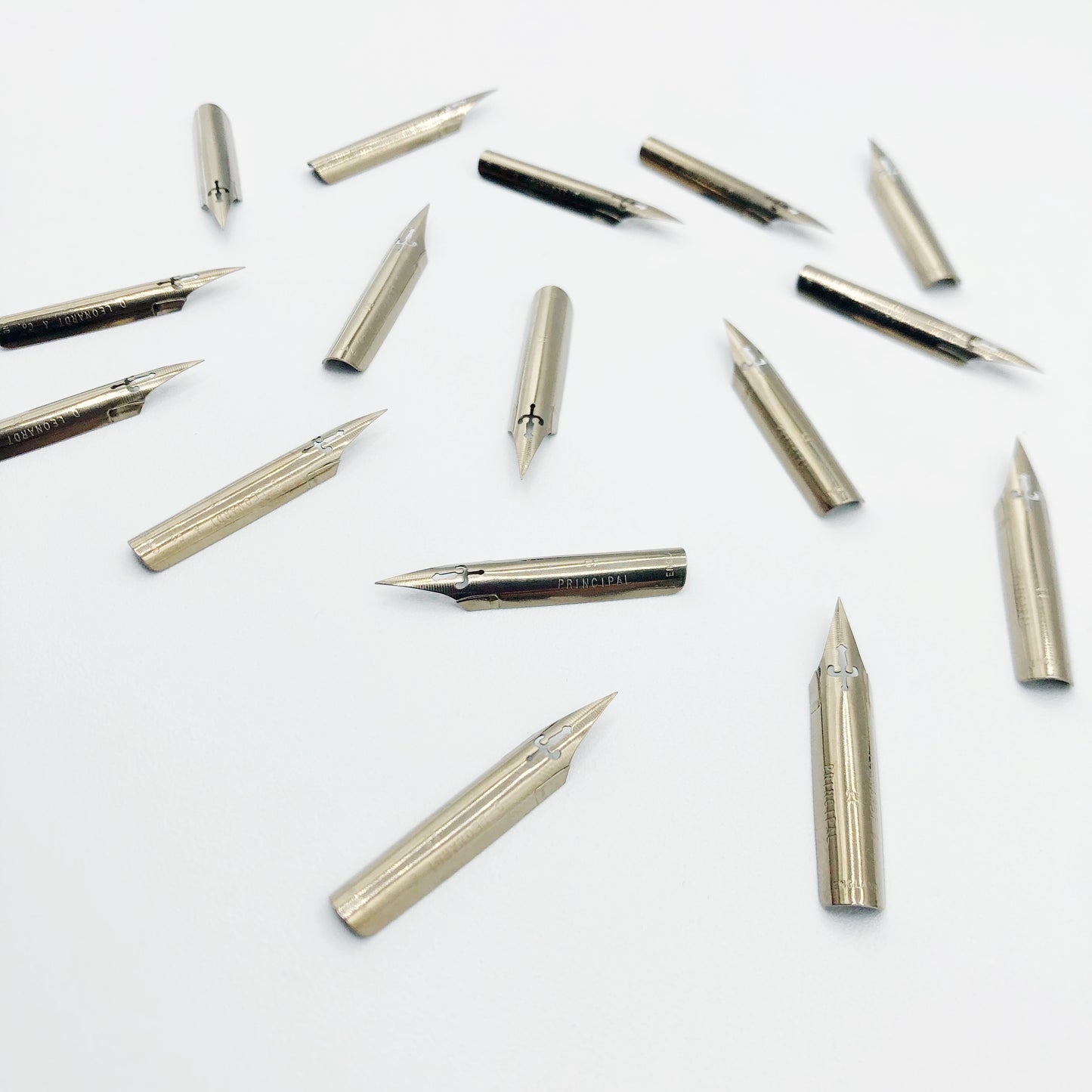 Leonardt Principal Extra Fine Calligraphy Nib