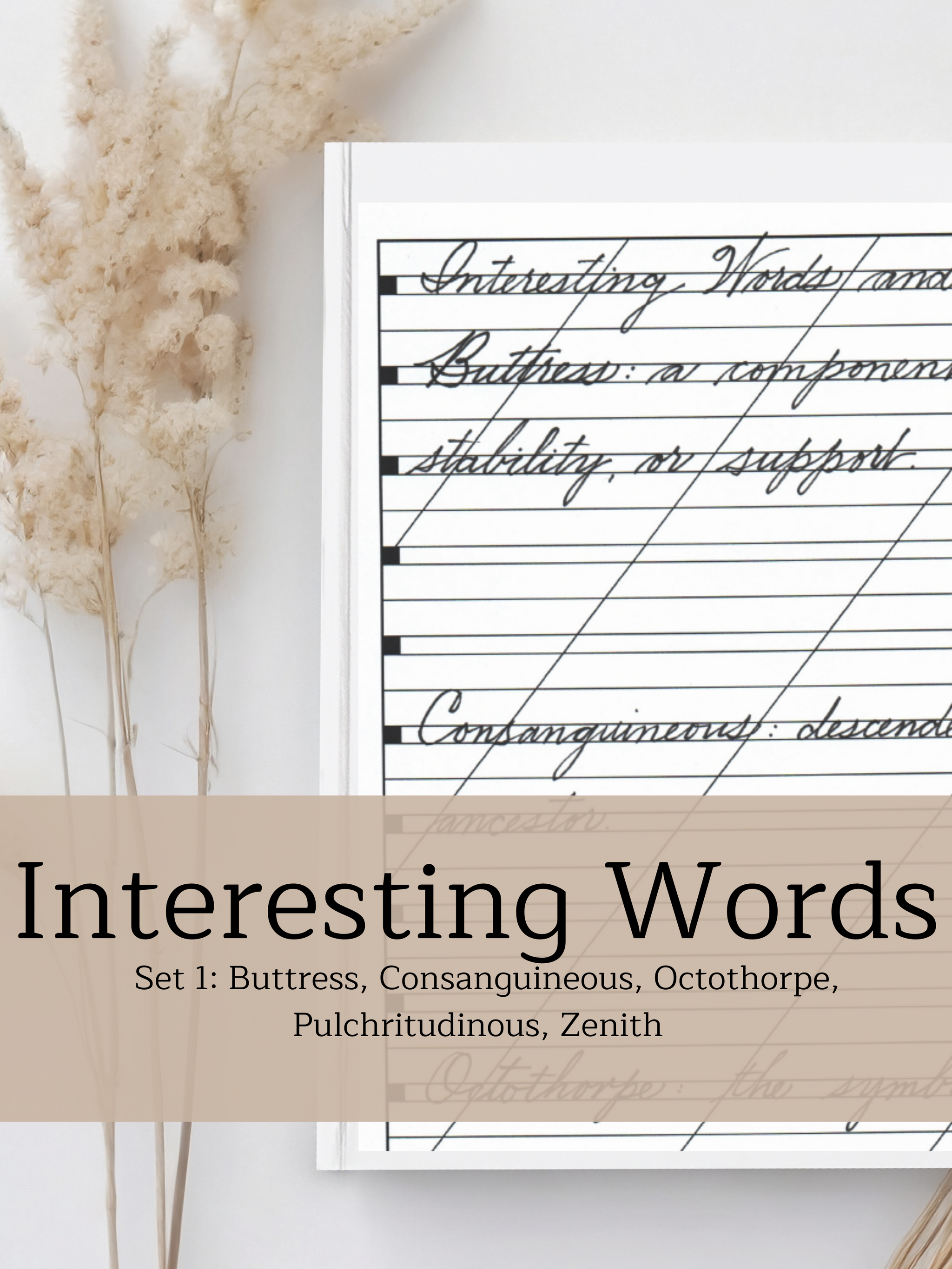 Interesting Words Set 1 | Traditional Cursive Practice Page