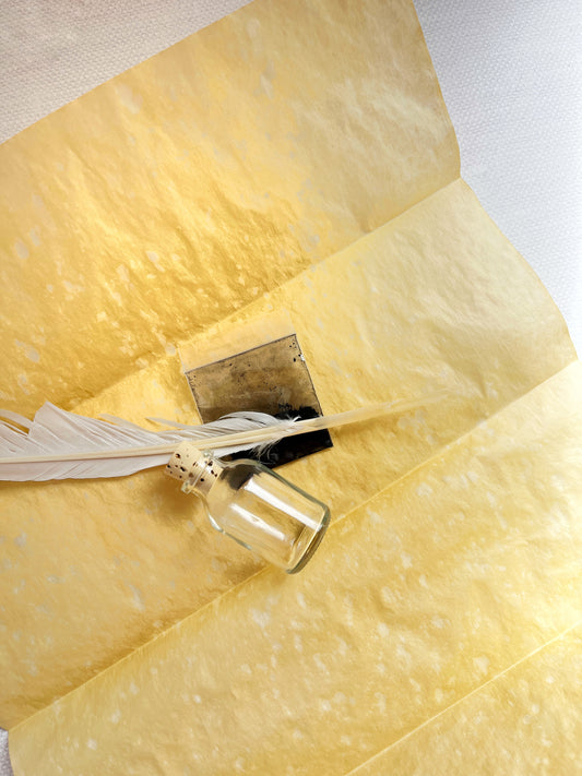 Vintage Parchment and Feather Pen Writing Set