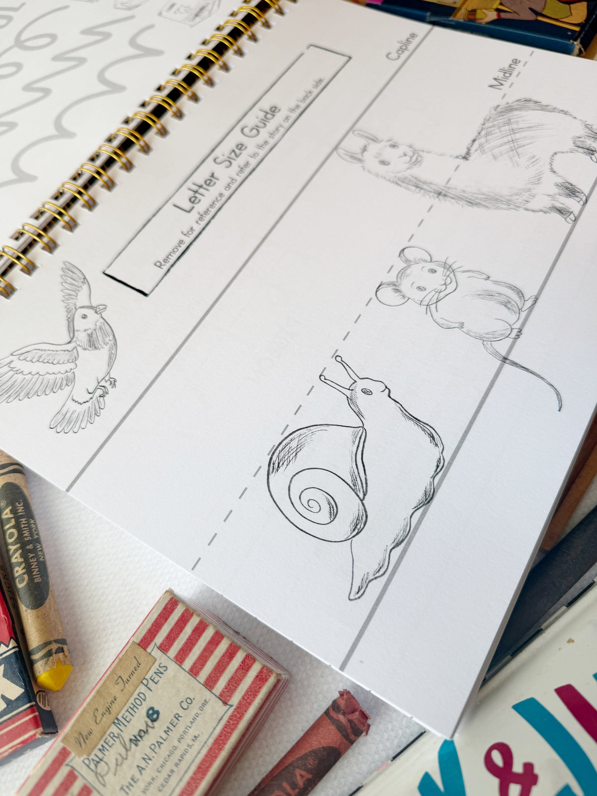 The Print Pathway™ | Print Penmanship Handwriting Curriculum |  Workbook Printed