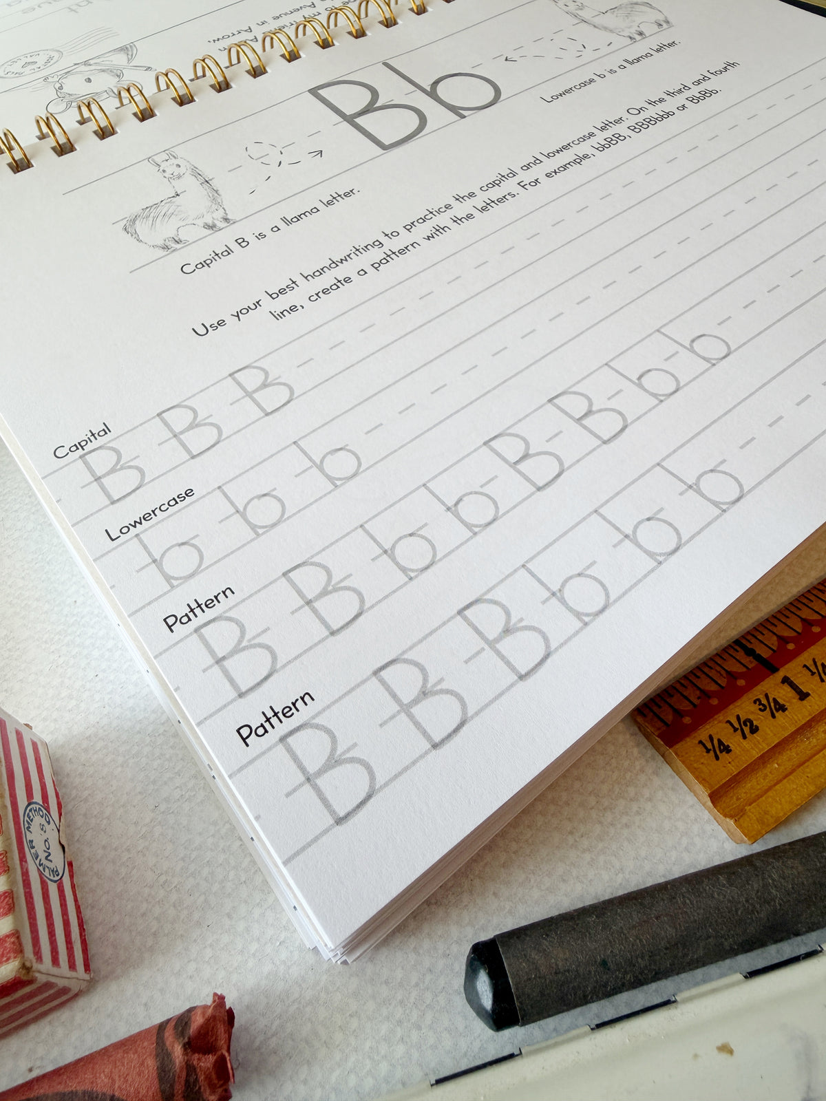 The Letter Bridge™ Step One | Mouse Messages | Print Penmanship Practice Workbook | Printed