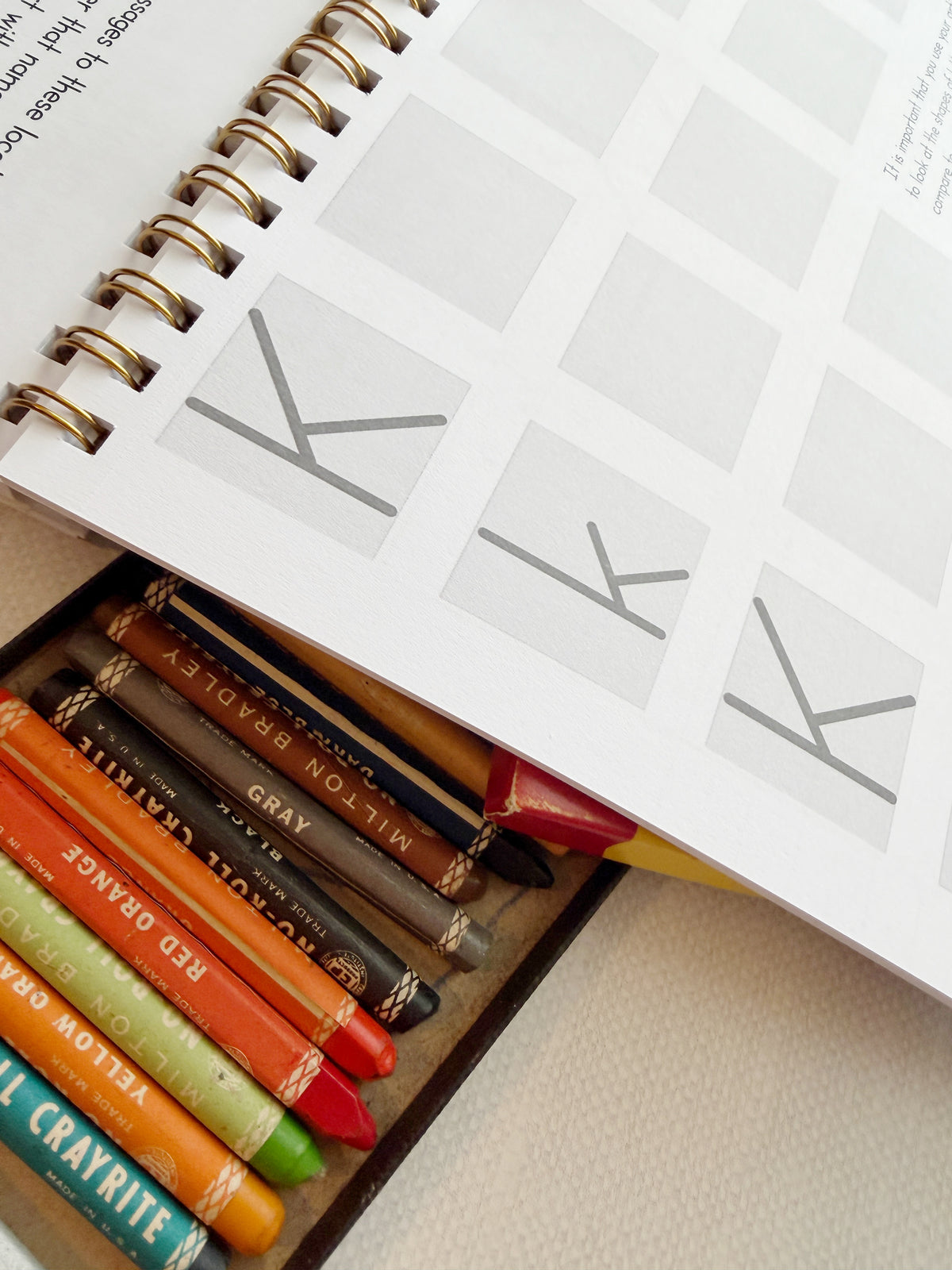 The Letter Bridge™ Step One | Mouse Messages | Print Penmanship Practice Workbook | Printed