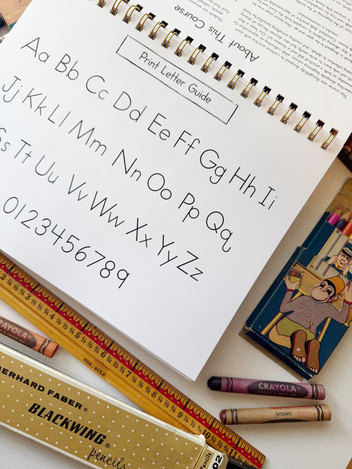 The Letter Bridge™ Step Three | Llama Letters | Print and Cursive Penmanship Practice Workbook | Printed