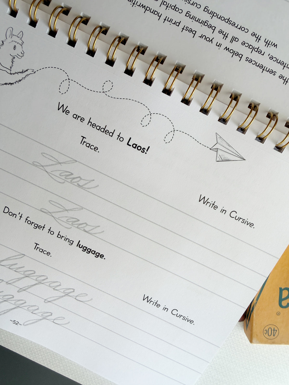 The Letter Bridge™ Step Three | Llama Letters | Print and Cursive Penmanship Practice Workbook | Printed
