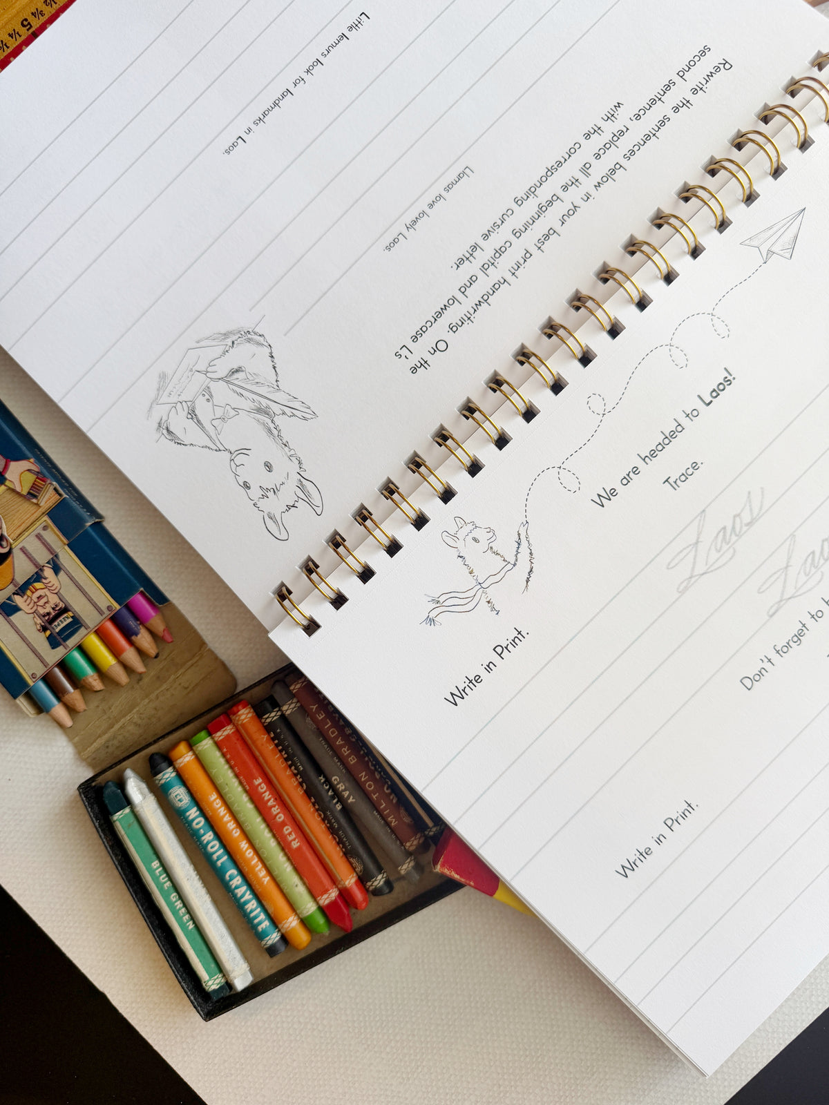 The Letter Bridge™ Step Three | Llama Letters | Print and Cursive Penmanship Practice Workbook | Printed